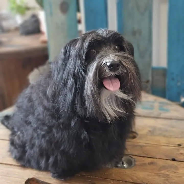 WhatsApp-Image-2021-06-02-at-17.41.58–282-29-1920w