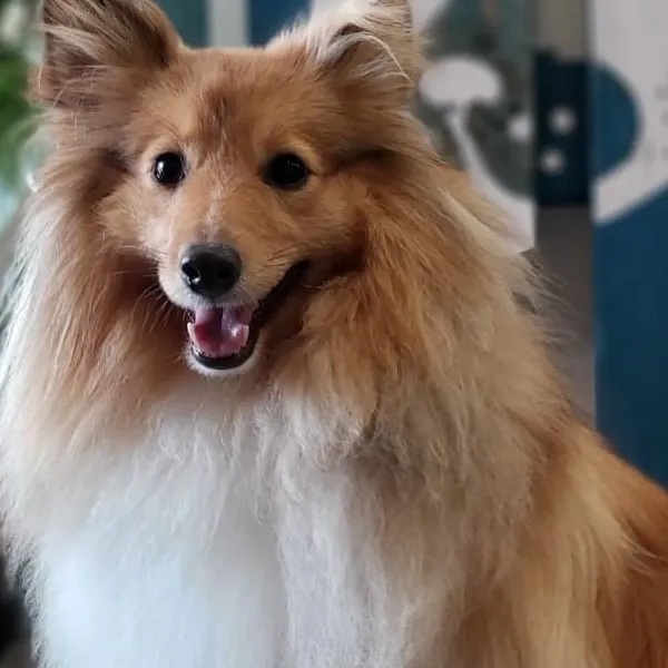 WhatsApp+Image+2021-06-02+at+17.41.58+(1)-1920w