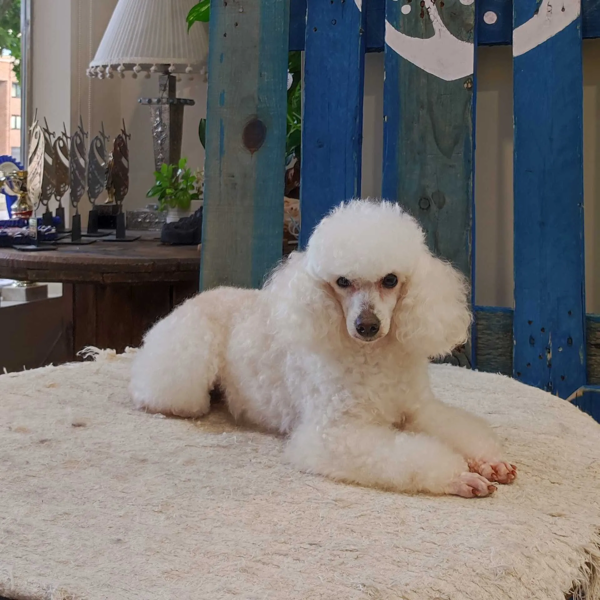 WhatsApp+Image+2021-06-02+at+17.41.58+(3)-1920w