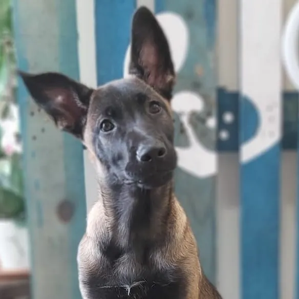 WhatsApp+Image+2021-06-02+at+17.41.58+(4)-1920w